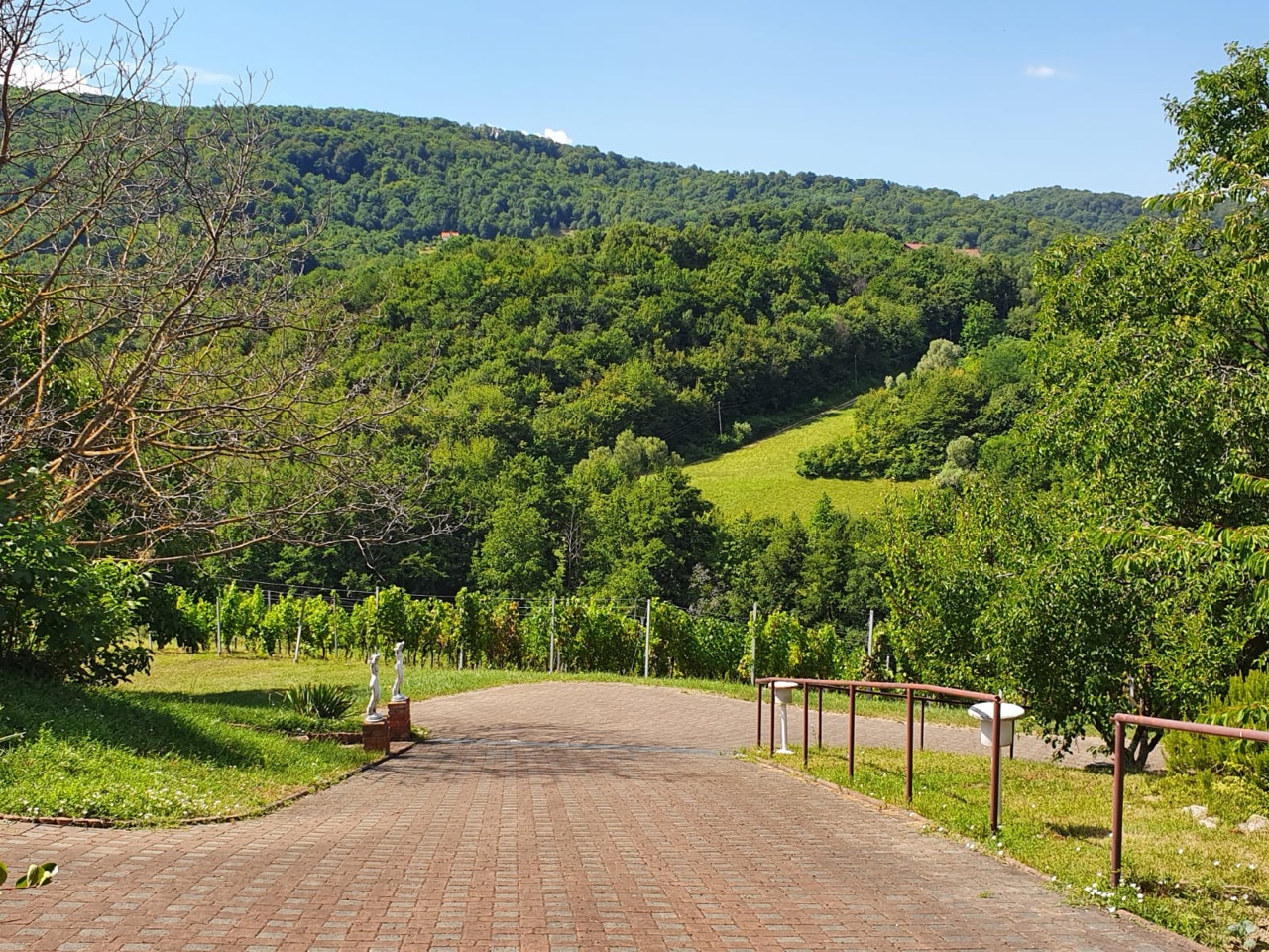 Pogled na obronke Medvednice